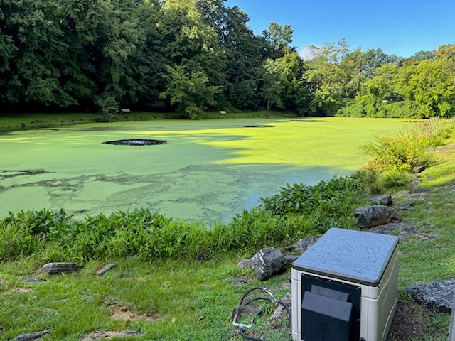 Duck Pond on August 23, 2026, covered in duckweed, with the aerator compressor housing in the foreground