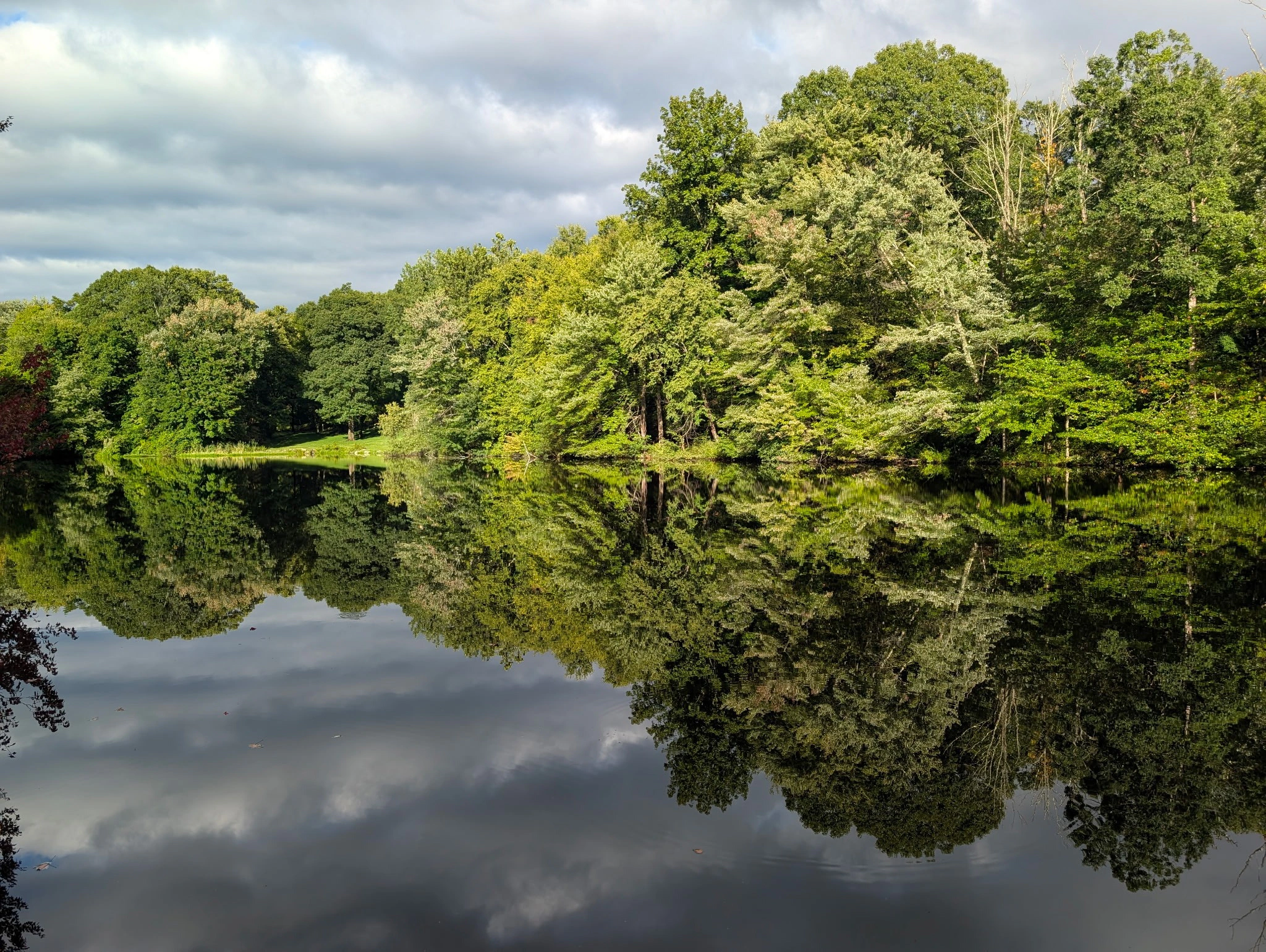 Kaplan's Pond with a clear surface reflecting the surrounding trees and sky